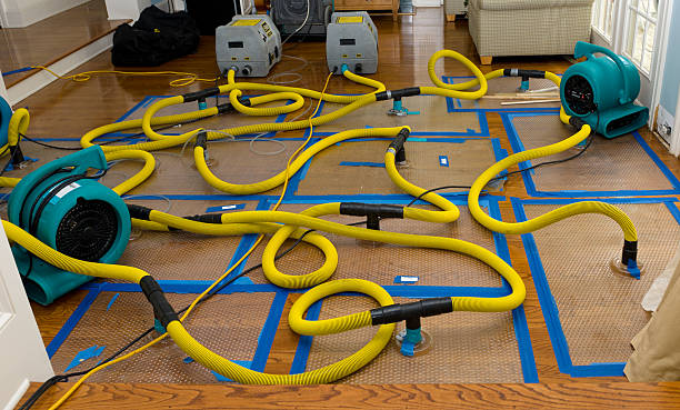 Professional Water Extraction technician working in Middle Village, NY